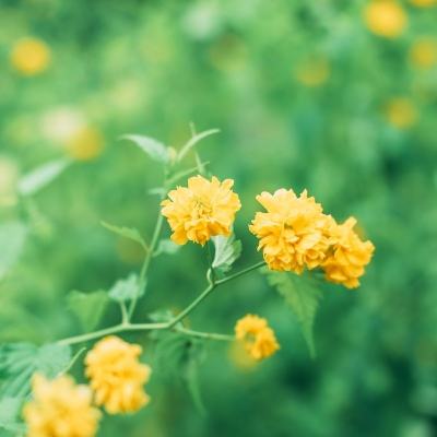 血战沙巴克bt变态版下载